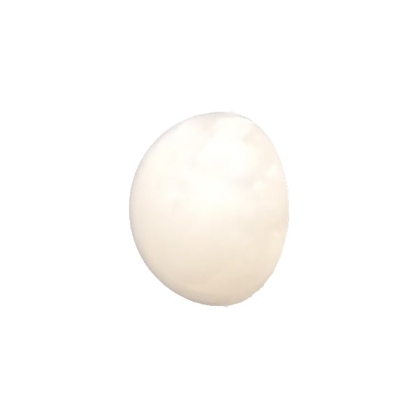 KR763 Sample Back foot Nylon button