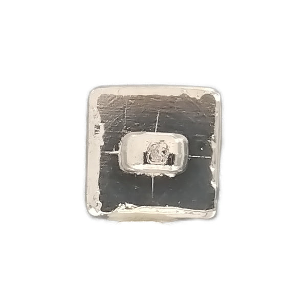 KR875样品后脚金属纽扣