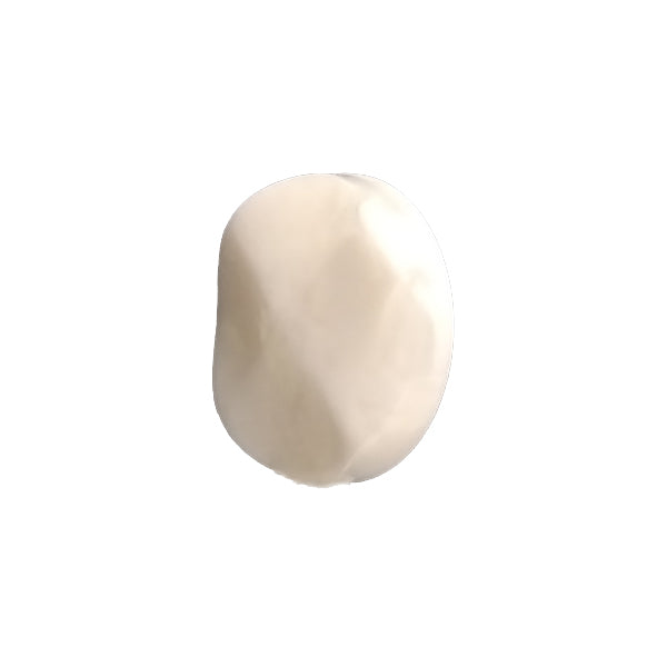 PW702 Sample Polyester Button