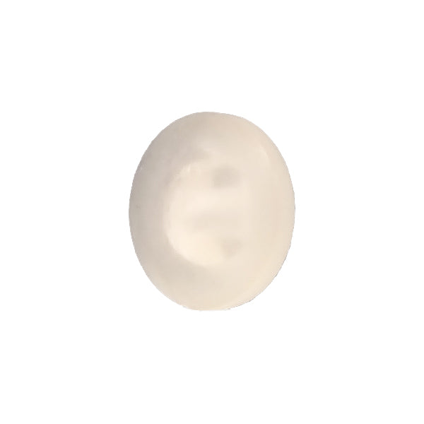 SH2923 Sample Polyester Button