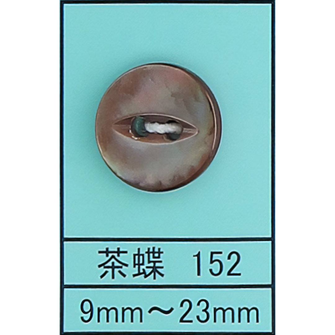 152 ネコ目 貝ボタン 茶蝶 カラー展開画像