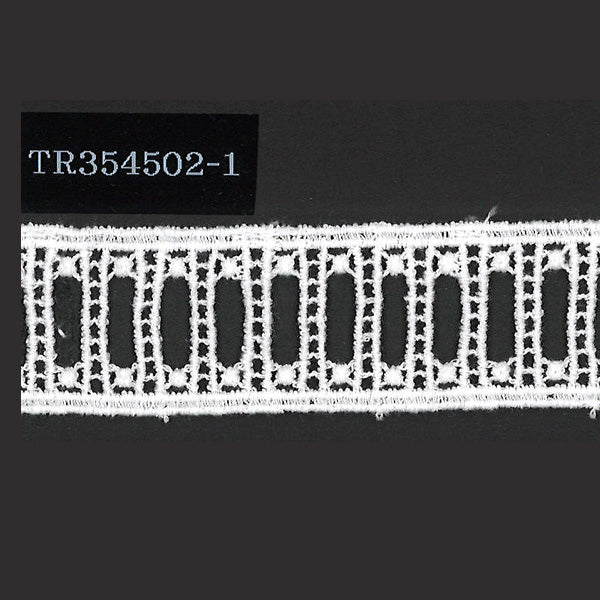 TR354502-1 はしごレース