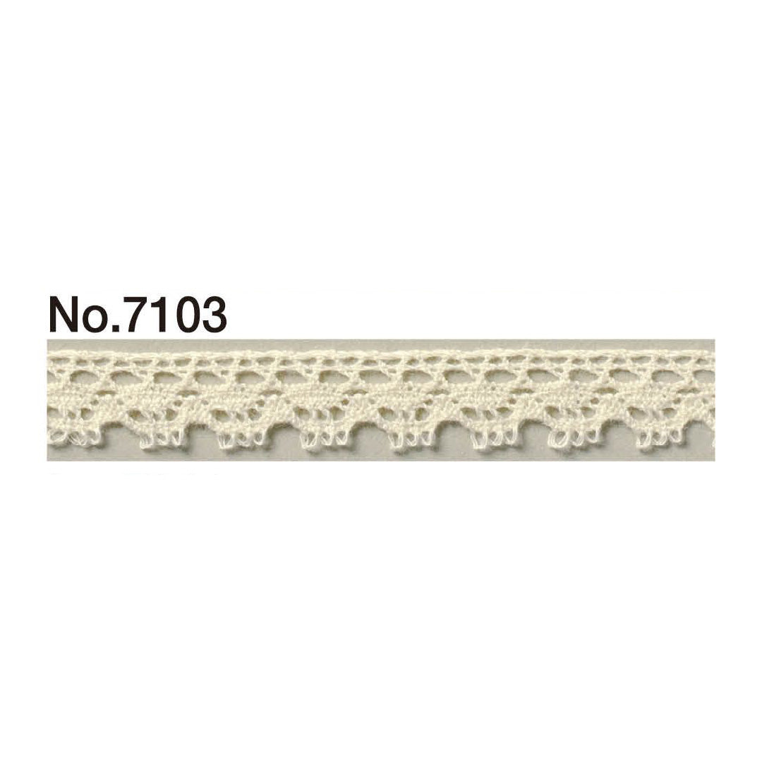 7103 Torsion Race