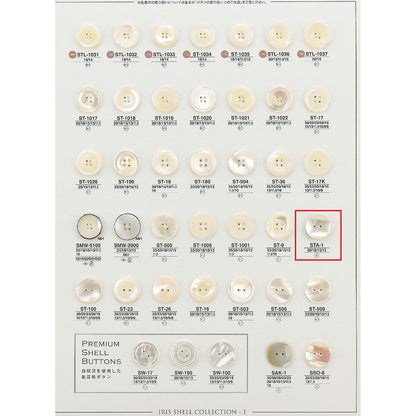 STA1 サンプル 貝ボタン