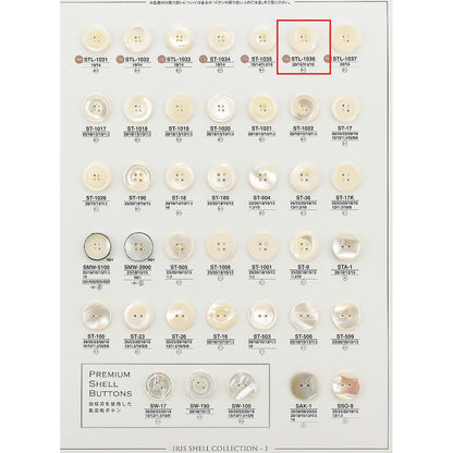 STL1036 样品贝壳纽扣