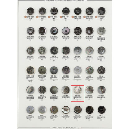 SB503 贝壳纽扣样品