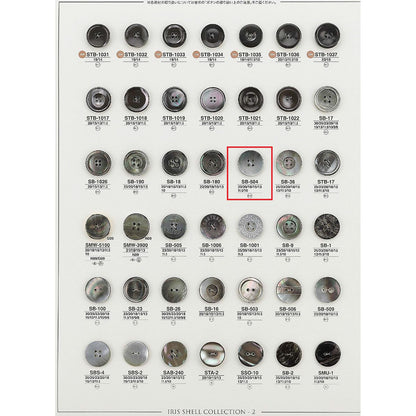 SB504 贝壳纽扣样品