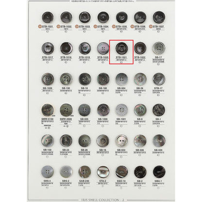 STB1021 样品贝壳纽扣