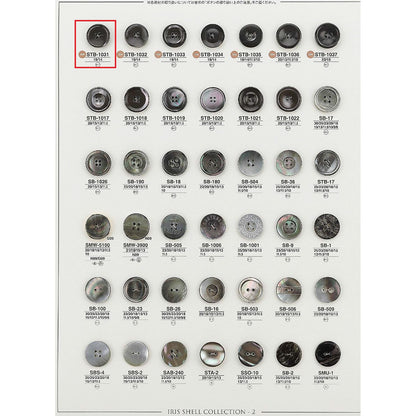 STB1031 Sample Shell Button