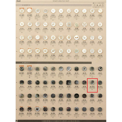 SB1015 貝ボタン