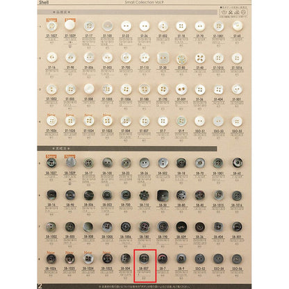 SB507 サンプル 貝ボタン