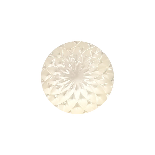 RVS6861 Polyester buttons