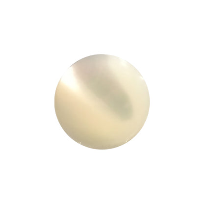 ST512 样品贝壳纽扣