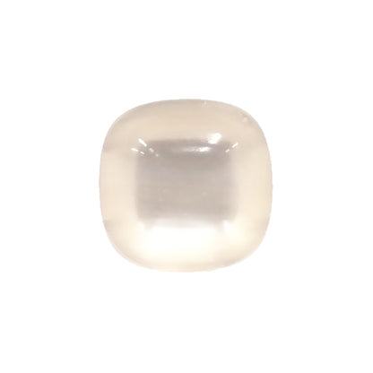 VE9427 Sample Polyester Button