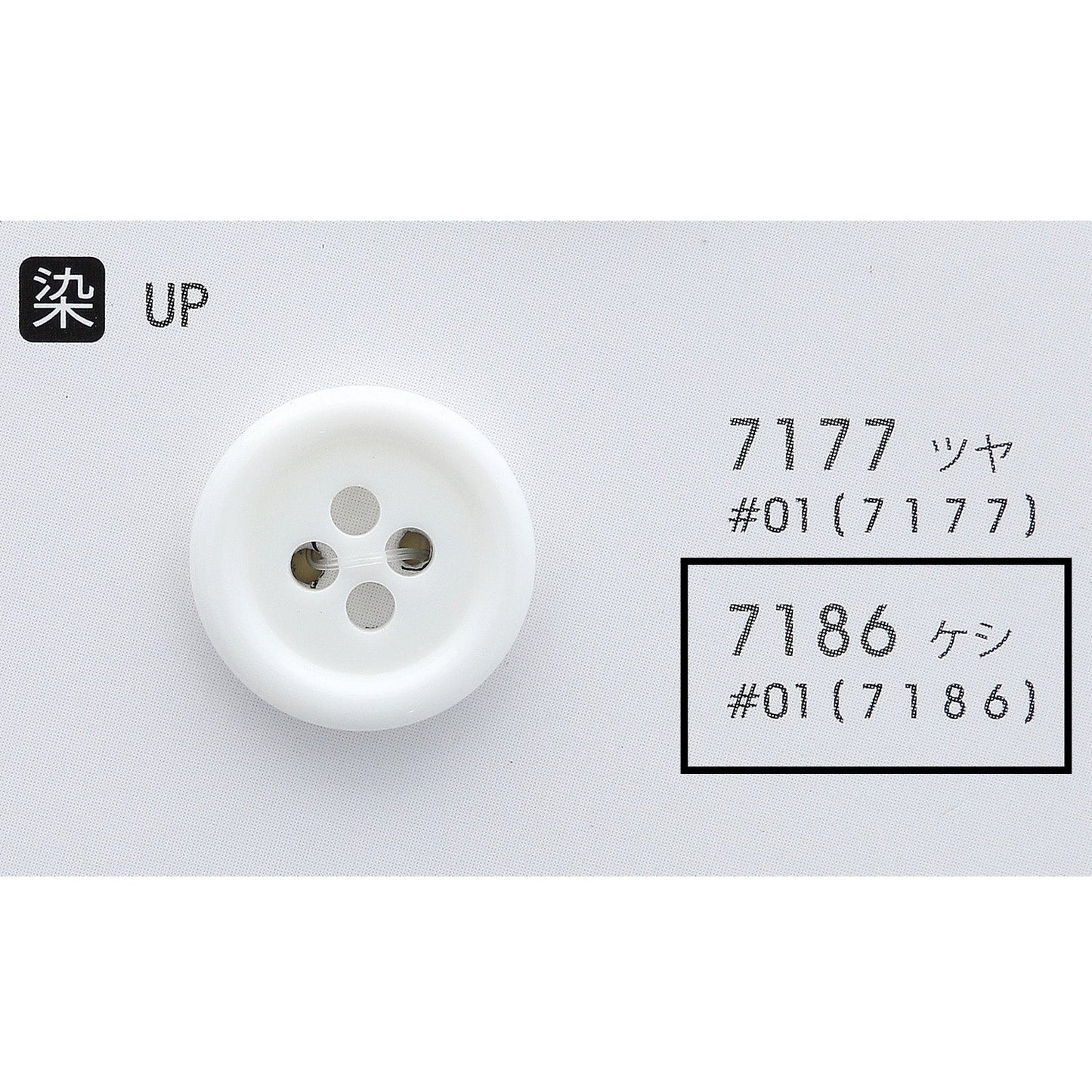 7186 正面画像