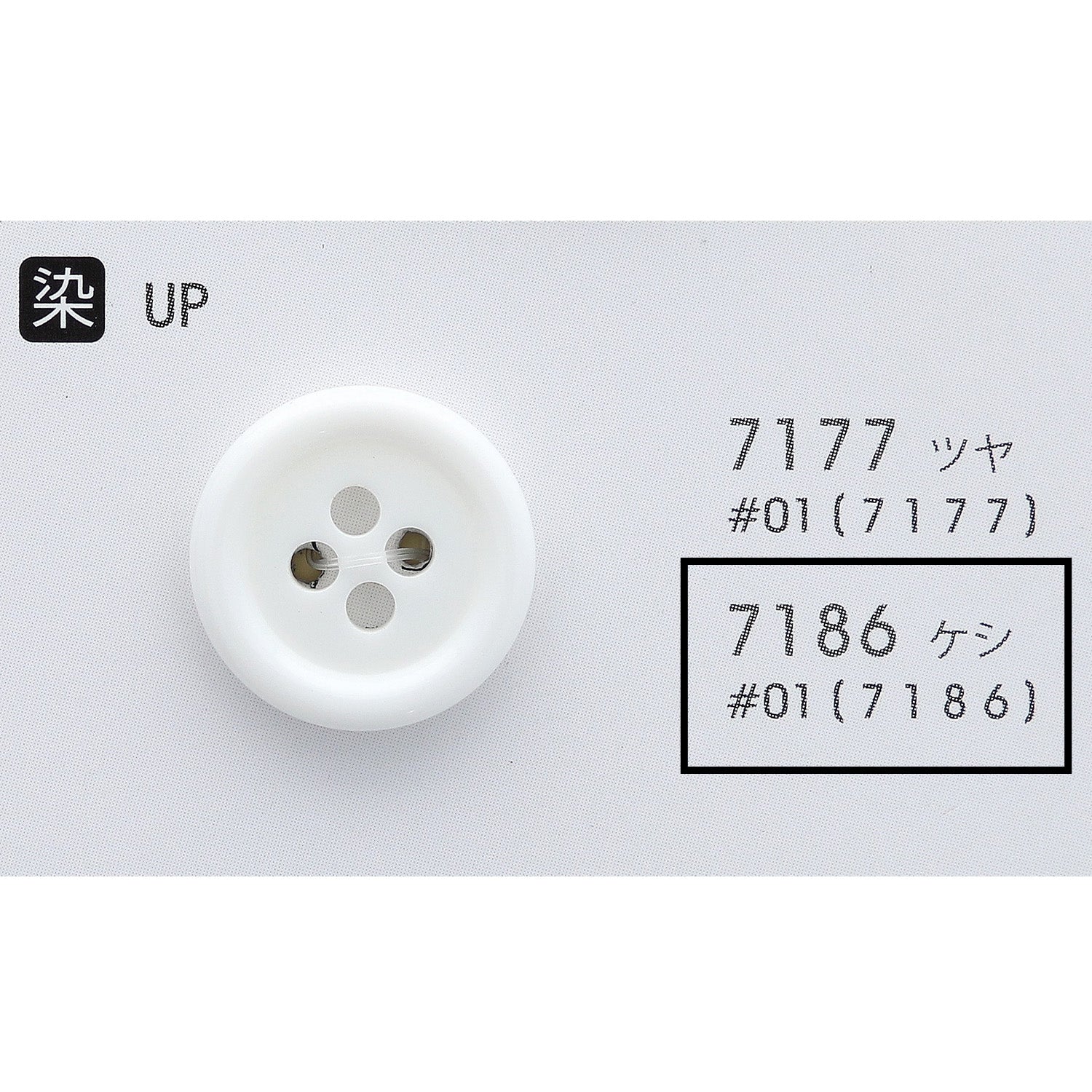 7186 正面画像