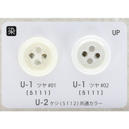 U1 カラー展開