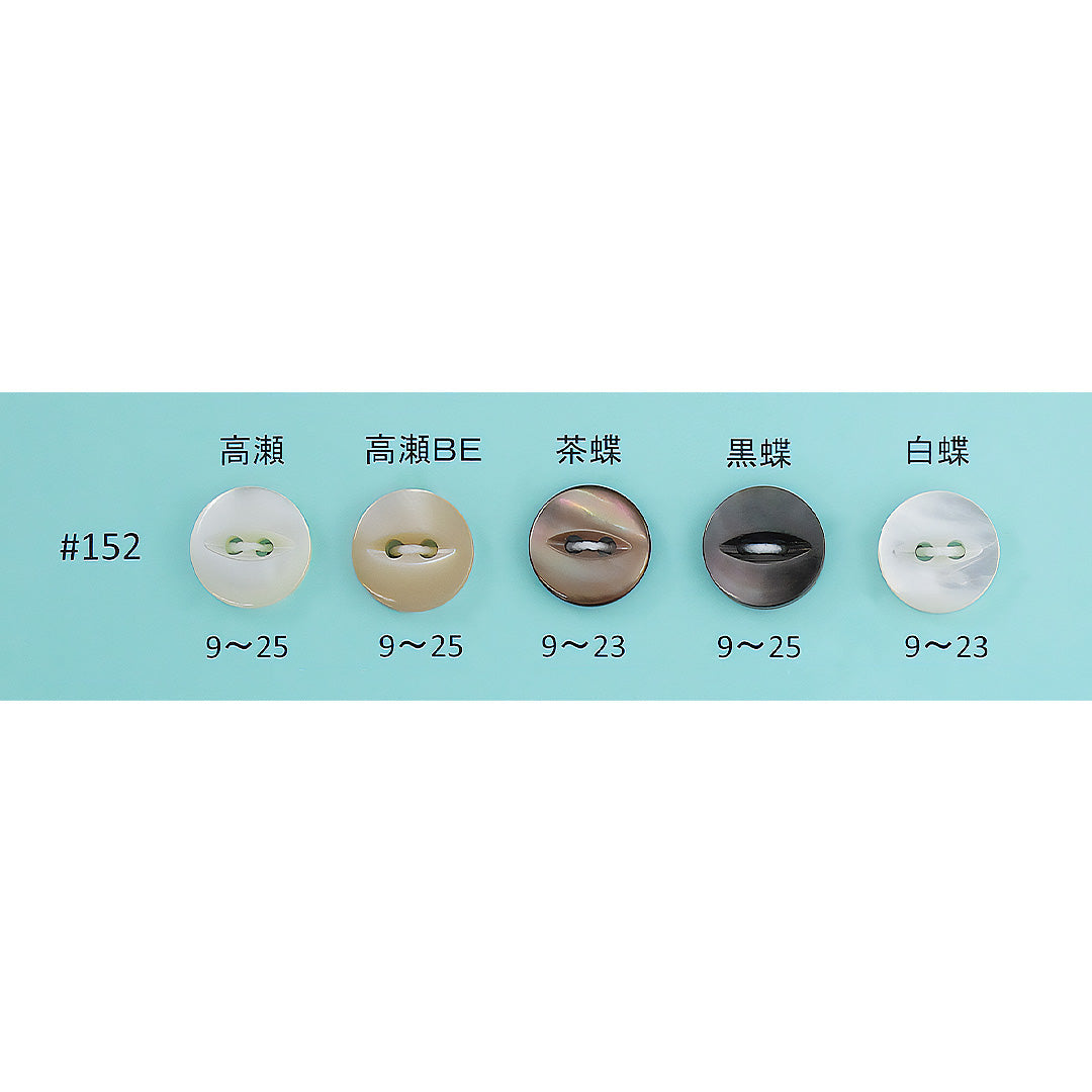 152 ネコ目 貝ボタン サムネイル画像