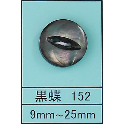 152 ネコ目 貝ボタン 黒蝶 カラー展開画像