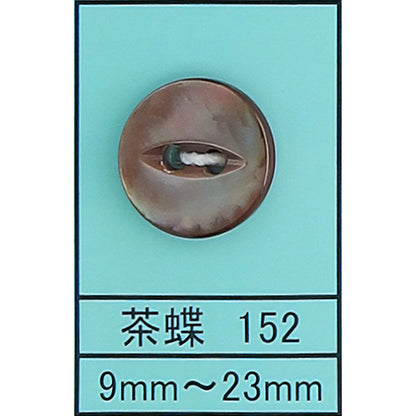 152 ネコ目 貝ボタン 茶蝶 カラー展開画像