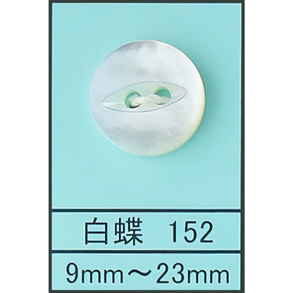 152 ネコ目 貝ボタン 白蝶 カラー展開画像