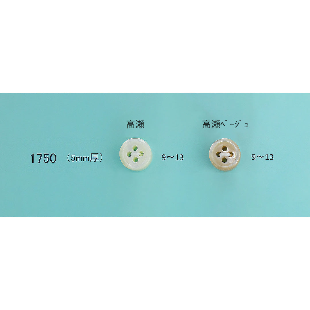 1750 5mm厚 貝ボタン