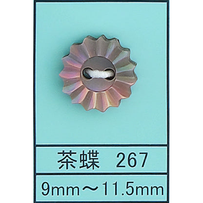 267 花 貝ボタン 茶蝶 カラー展開画像