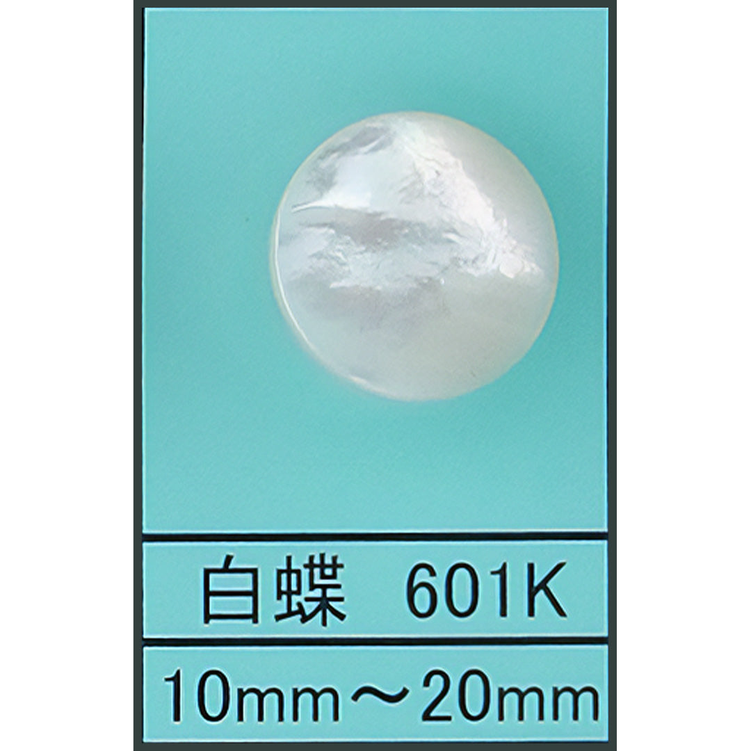 601K 金脚 貝ボタン 白蝶 カラー展開画像