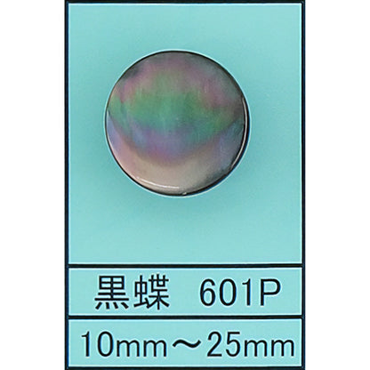 601P ポリ脚 貝ボタン 黒蝶 カラー展開画像