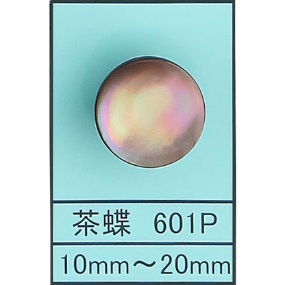 601P ポリ脚 貝ボタン 茶蝶 カラー展開画像