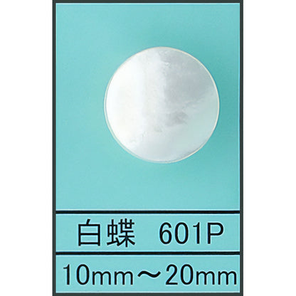 601P ポリ脚 貝ボタン 白蝶 カラー展開画像