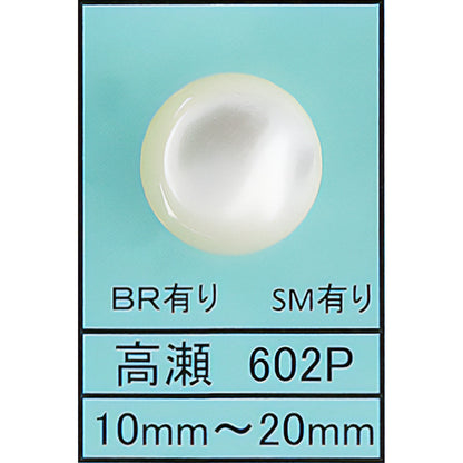 602 ポリ脚 貝ボタン サムネイル画像