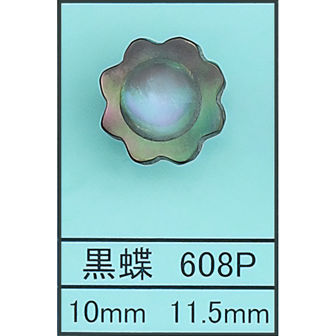 608P ポリ脚 貝ボタン サムネイル画像