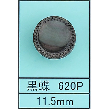 620P ポリ脚 貝ボタン 黒蝶 カラー展開画像