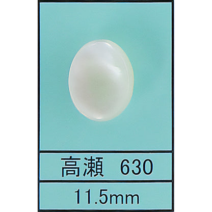 630 貝ボタン 高瀬 サムネイル画像