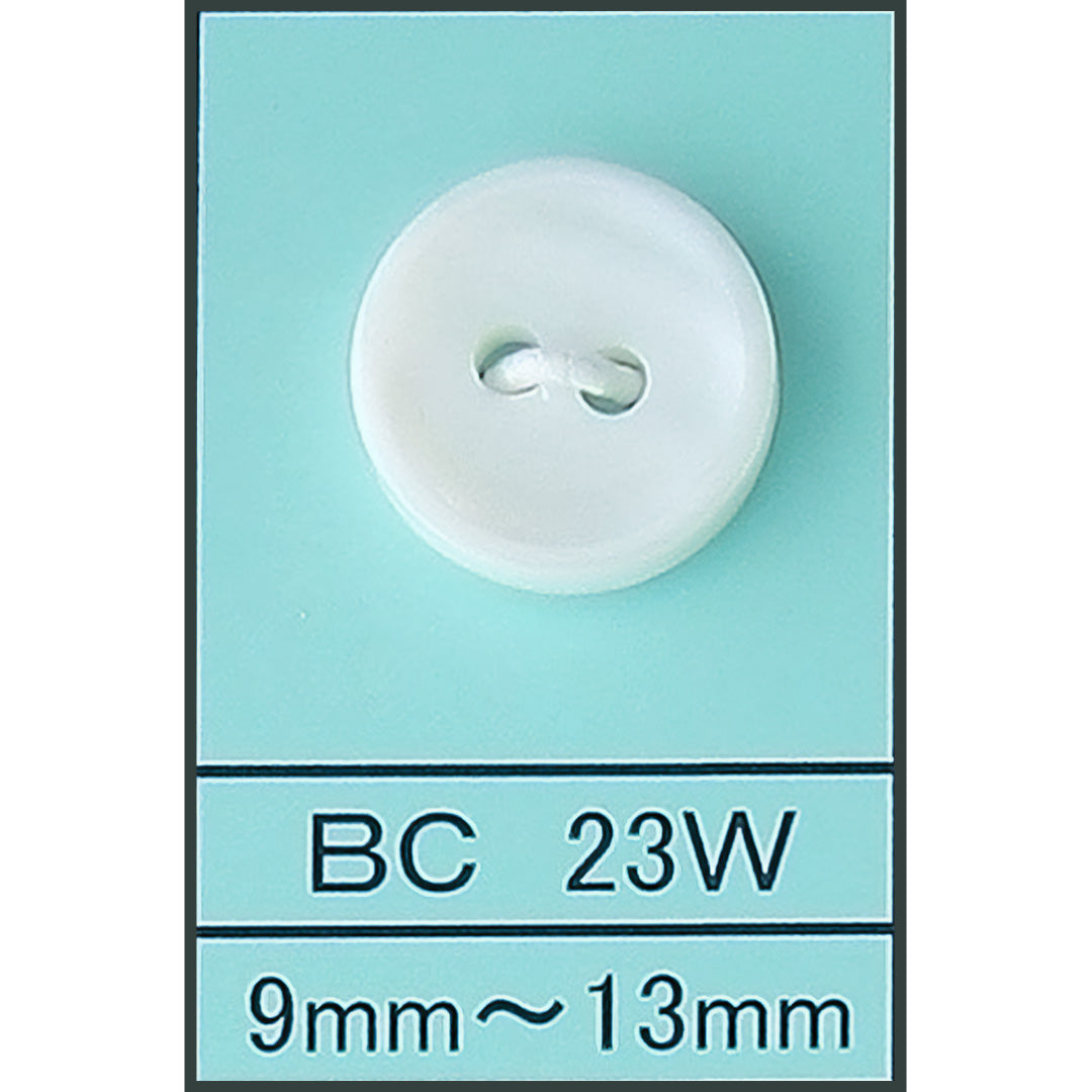 BC23W 淡水貝 サムネイル画像