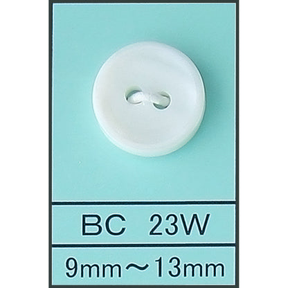 BC23W 淡水貝 サムネイル画像
