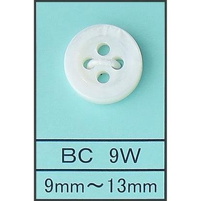 BC9W 淡水貝 サムネイル画像