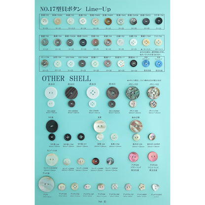 貝釦サンプル帳NO.19 P06