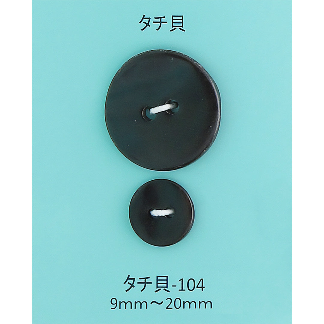TACHIGAI-104 タチ貝ボタン タチ貝 サムネイル画像