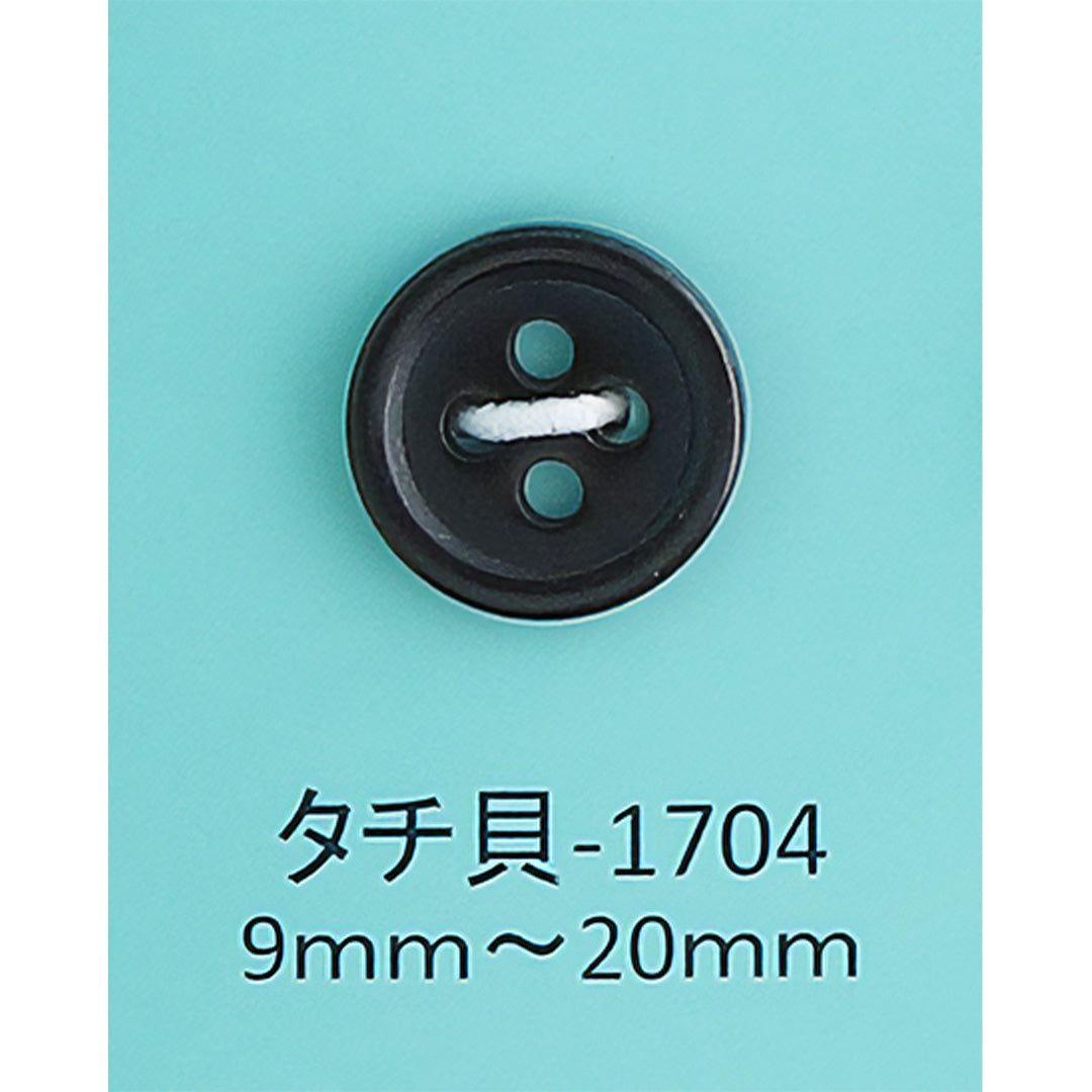 TACHIGAI-1704 タチ貝ボタン タチ貝 サムネイル画像