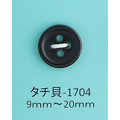 TACHIGAI-1704 タチ貝ボタン タチ貝 サムネイル画像