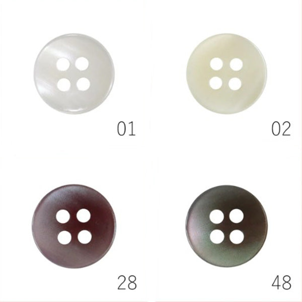 TR37 カラー展開3