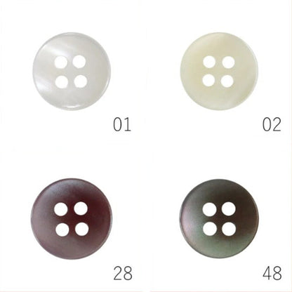 TR37 カラー展開3