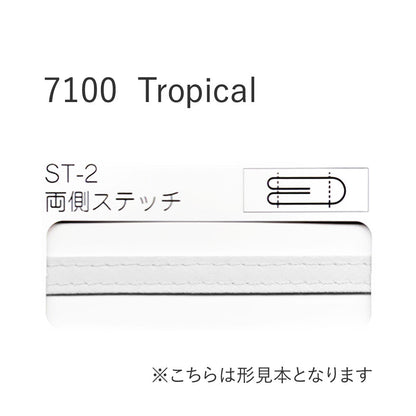 7100ST2 四つ折れ両サイドステッチバイアステープ  STAR BIAS サムネイル画像