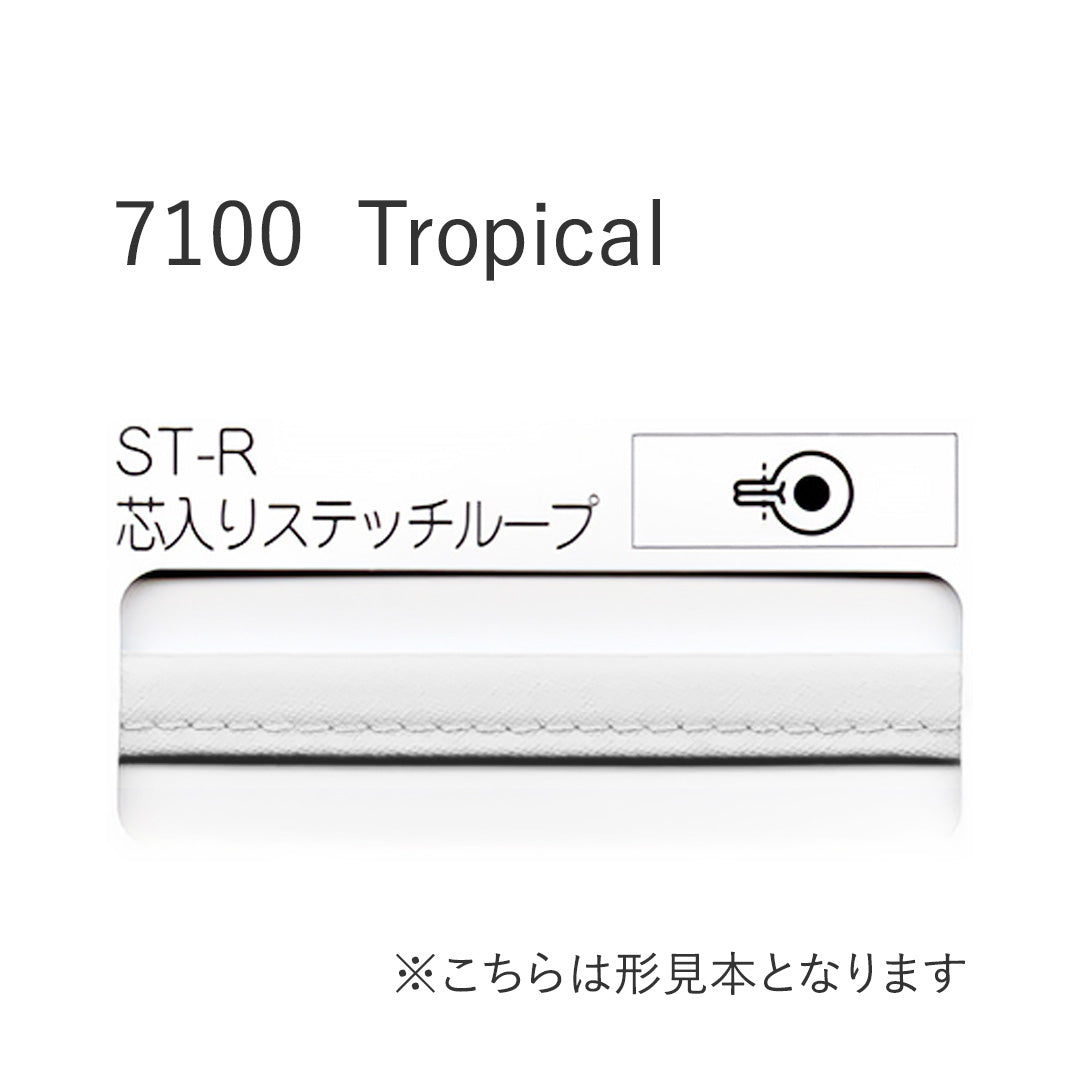 7100STR 芯入りステッチループバイアステープ  STAR BIAS サムネイル画像