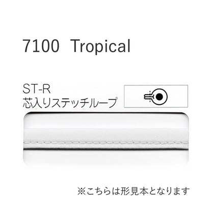 7100STR 芯入りステッチループバイアステープ  STAR BIAS サムネイル画像