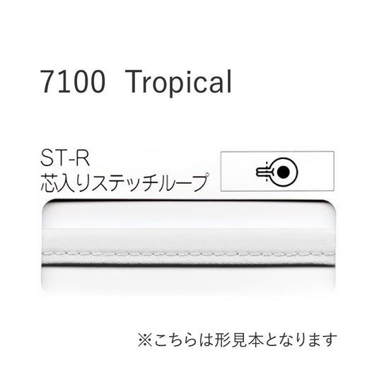 7100STR 芯入りステッチループバイアステープ  STAR BIAS サムネイル画像