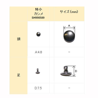SH990589画像