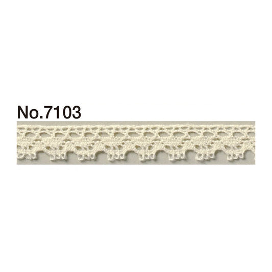 7103 Torsion Race